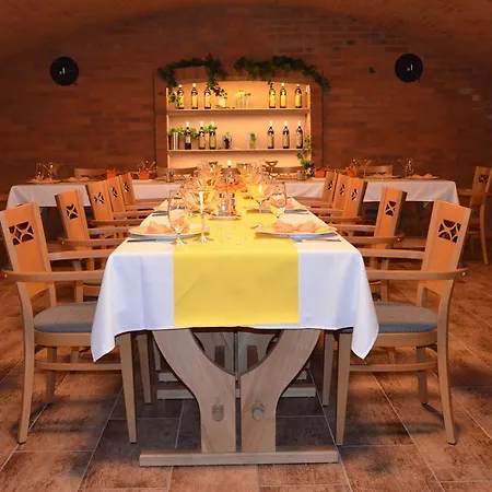 Hotel Ambra 4* Luhacovice