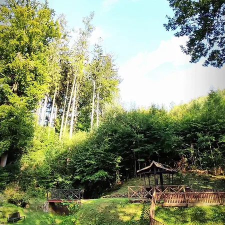 Hotell Hotel Ambra 4*