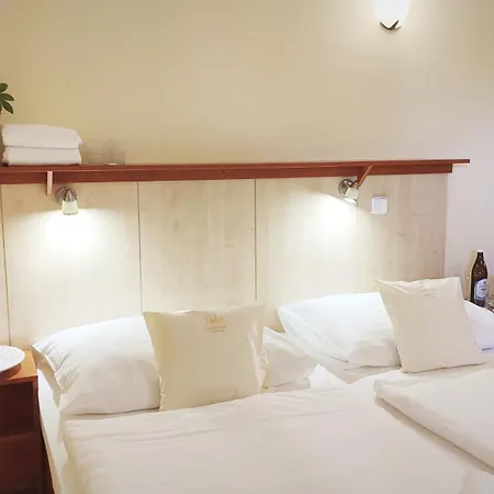 Hotel Ambra Hotel Luhacovice