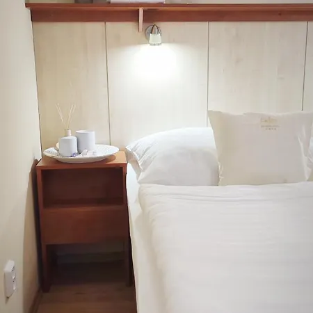 Hotel Ambra Hotel Luhacovice