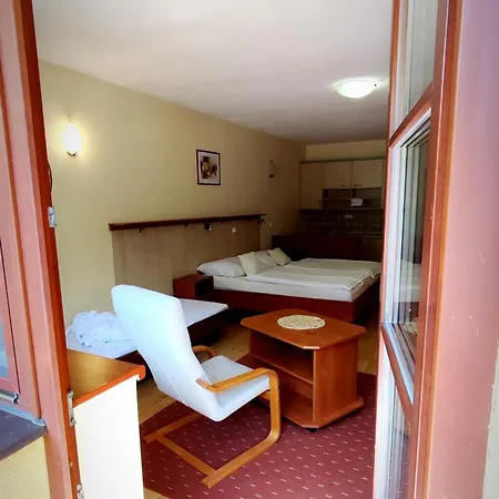 Hotel Ambra Hotel Luhacovice